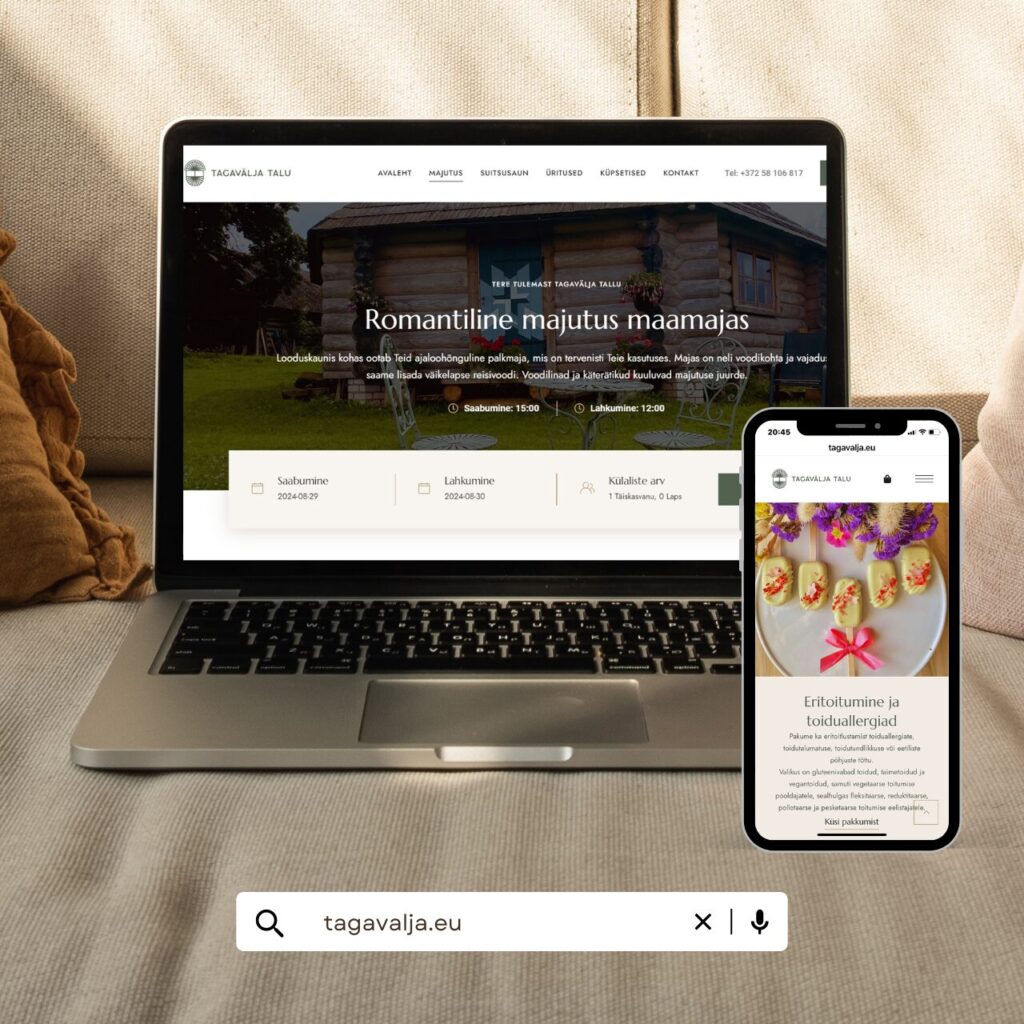 Tulemeedia-kliendi-veebileht-Tagavalja