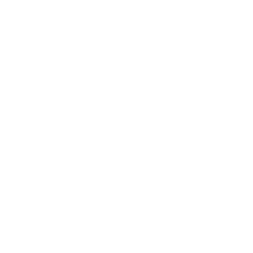 palgisalu-valge